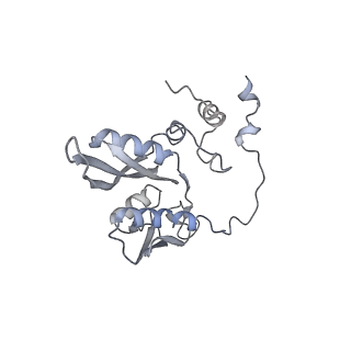 13936_7qep_S2_v1-0
Cryo-EM structure of the ribosome from Encephalitozoon cuniculi