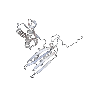 13936_7qep_S3_v1-0
Cryo-EM structure of the ribosome from Encephalitozoon cuniculi