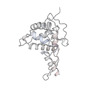 13936_7qep_S5_v1-0
Cryo-EM structure of the ribosome from Encephalitozoon cuniculi