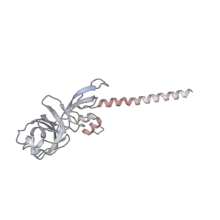 13936_7qep_S6_v1-0
Cryo-EM structure of the ribosome from Encephalitozoon cuniculi