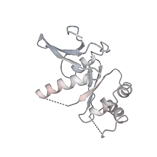 13936_7qep_S7_v1-0
Cryo-EM structure of the ribosome from Encephalitozoon cuniculi
