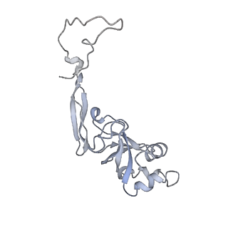 13936_7qep_S8_v1-0
Cryo-EM structure of the ribosome from Encephalitozoon cuniculi