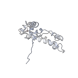 13936_7qep_S9_v1-0
Cryo-EM structure of the ribosome from Encephalitozoon cuniculi