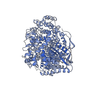 18343_8qe5_A_v1-0
Apo Hantaan virus polymerase in monomeric state