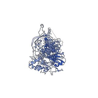 18350_8qeb_A_v1-0
S. cerevisia Niemann-Pick type C protein NCR1 in GDN at pH 7.5