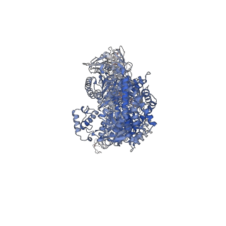 18373_8qen_A_v1-0
cryo-EM structure of apo Clostridioides difficile toxin B