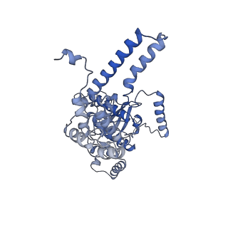 4537_6qel_A_v1-4
E. coli DnaBC apo complex