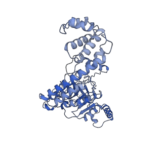 4537_6qel_B_v1-4
E. coli DnaBC apo complex