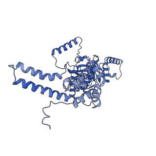 4537_6qel_C_v1-4
E. coli DnaBC apo complex