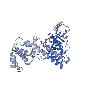 4537_6qel_D_v1-4
E. coli DnaBC apo complex