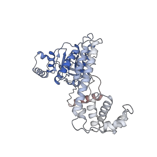 4537_6qel_F_v1-4
E. coli DnaBC apo complex
