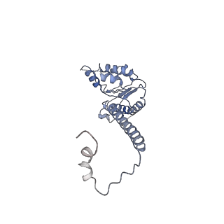 4537_6qel_G_v1-4
E. coli DnaBC apo complex