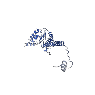 4537_6qel_H_v1-4
E. coli DnaBC apo complex