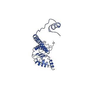 4537_6qel_J_v1-4
E. coli DnaBC apo complex