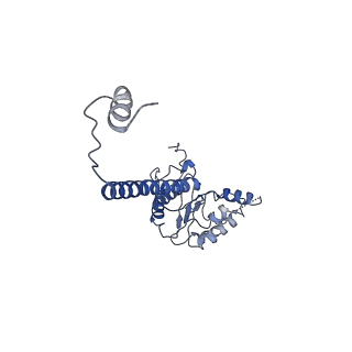 4537_6qel_K_v1-4
E. coli DnaBC apo complex