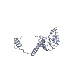 4537_6qel_L_v1-4
E. coli DnaBC apo complex