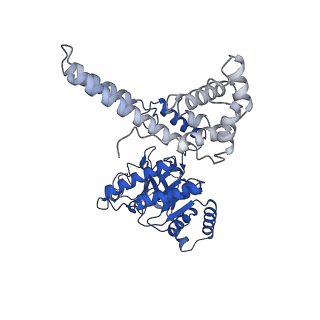 4538_6qem_A_v1-4
E. coli DnaBC complex bound to ssDNA