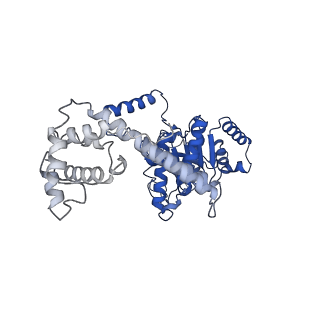 4538_6qem_B_v1-4
E. coli DnaBC complex bound to ssDNA