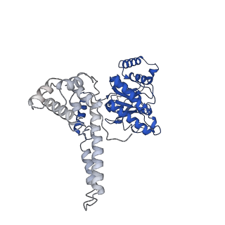 4538_6qem_C_v1-4
E. coli DnaBC complex bound to ssDNA