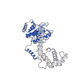 4538_6qem_D_v1-4
E. coli DnaBC complex bound to ssDNA