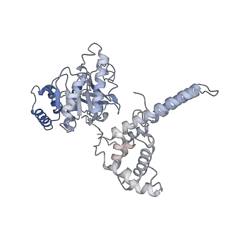 4538_6qem_E_v1-4
E. coli DnaBC complex bound to ssDNA