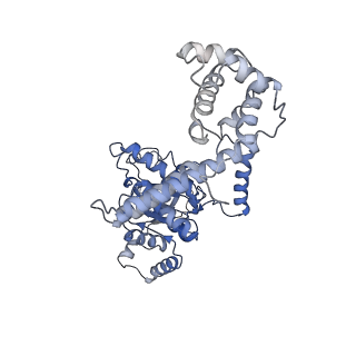 4538_6qem_F_v1-4
E. coli DnaBC complex bound to ssDNA
