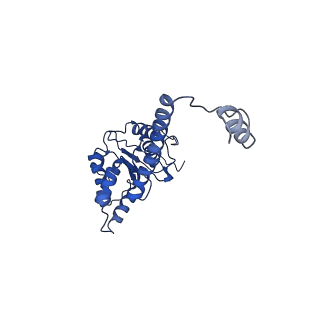 4538_6qem_H_v1-4
E. coli DnaBC complex bound to ssDNA