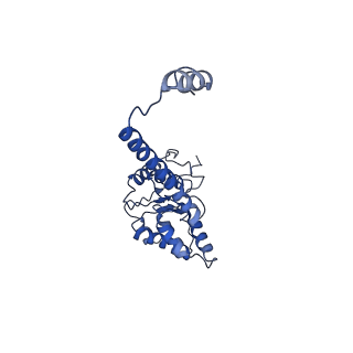 4538_6qem_I_v1-4
E. coli DnaBC complex bound to ssDNA