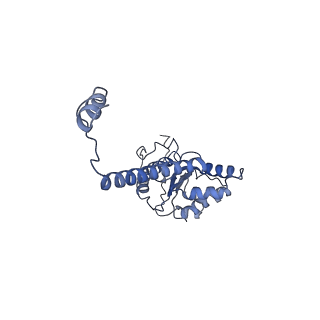 4538_6qem_J_v1-4
E. coli DnaBC complex bound to ssDNA