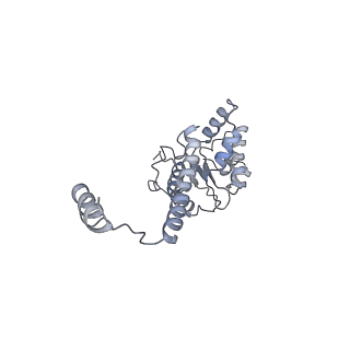 4538_6qem_K_v1-4
E. coli DnaBC complex bound to ssDNA