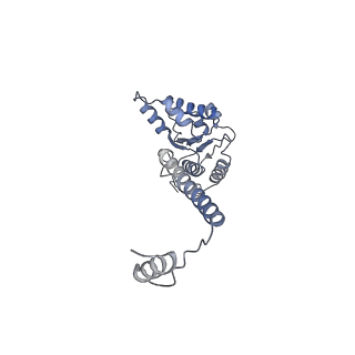 4538_6qem_L_v1-4
E. coli DnaBC complex bound to ssDNA