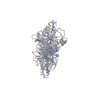 13947_7qfq_A_v1-1
Cryo-EM structure of Botulinum neurotoxin serotype B