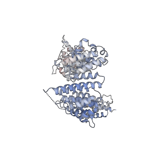 13950_7qfw_A_v1-0
S.c. Condensin peripheral Ycg1 subcomplex bound to DNA