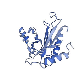 18381_8qfc_A_v1-2
UFL1 E3 ligase bound 60S ribosome