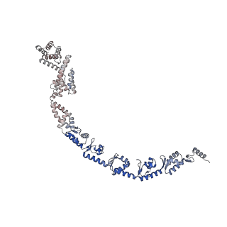 18381_8qfc_B_v1-2
UFL1 E3 ligase bound 60S ribosome