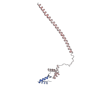 18381_8qfc_D_v1-2
UFL1 E3 ligase bound 60S ribosome