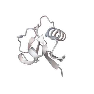 18381_8qfc_E_v1-2
UFL1 E3 ligase bound 60S ribosome