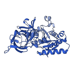 18383_8qfs_C_v1-1
Cryo-EM structure of SidH from Legionella pneumophila