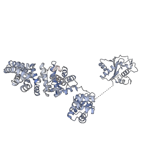 13951_7qg0_A_v1-1
Inhibitor-induced hSARM1 duplex