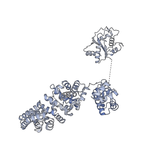 13951_7qg0_B_v1-1
Inhibitor-induced hSARM1 duplex