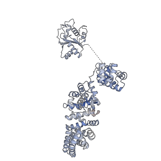 13951_7qg0_C_v1-1
Inhibitor-induced hSARM1 duplex