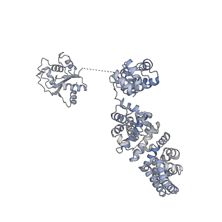 13951_7qg0_D_v1-1
Inhibitor-induced hSARM1 duplex