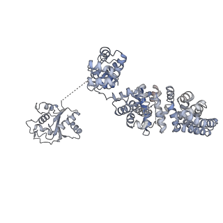 13951_7qg0_E_v1-1
Inhibitor-induced hSARM1 duplex