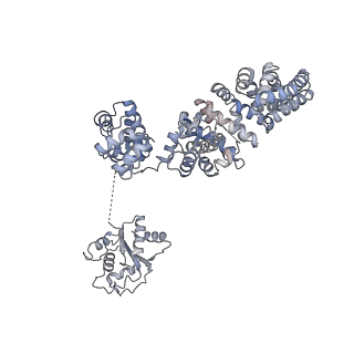 13951_7qg0_F_v1-1
Inhibitor-induced hSARM1 duplex
