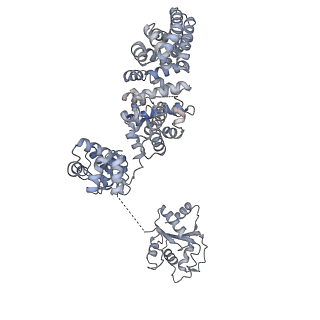 13951_7qg0_G_v1-1
Inhibitor-induced hSARM1 duplex