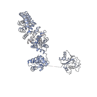 13951_7qg0_H_v1-1
Inhibitor-induced hSARM1 duplex