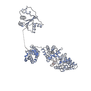 13951_7qg0_I_v1-1
Inhibitor-induced hSARM1 duplex