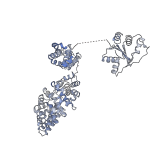 13951_7qg0_K_v1-1
Inhibitor-induced hSARM1 duplex