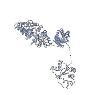 13951_7qg0_M_v1-1
Inhibitor-induced hSARM1 duplex