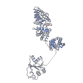 13951_7qg0_N_v1-1
Inhibitor-induced hSARM1 duplex